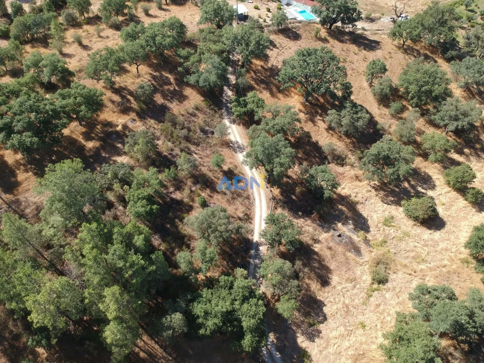 Terreno para Venda em Póvoa de Rio de Moinhos e Cafede Foto 36