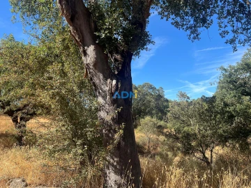 Terreno para Venda em Póvoa de Rio de Moinhos e Cafede