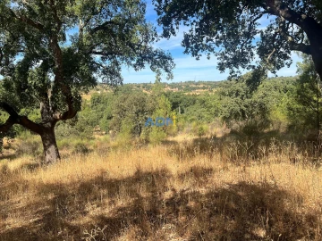 Terreno para Venda em Póvoa de Rio de Moinhos e Cafede