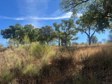 Terreno para Venda em Póvoa de Rio de Moinhos e Cafede