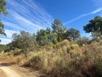 Terreno para Venda em Póvoa de Rio de Moinhos e Cafede