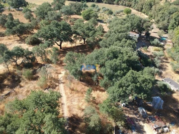 Terreno para Venda em Póvoa de Rio de Moinhos e Cafede