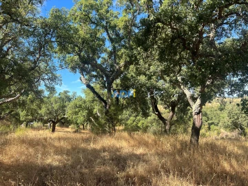 Terreno para Venda em Póvoa de Rio de Moinhos e Cafede