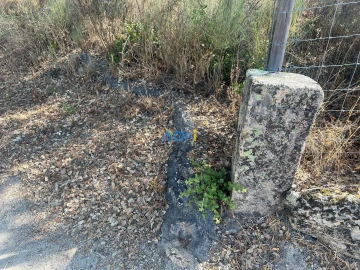 Terreno para Venda em Póvoa de Rio de Moinhos e Cafede