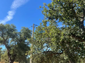 Terreno para Venda em Póvoa de Rio de Moinhos e Cafede