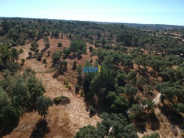 Terreno para Venda em Póvoa de Rio de Moinhos e Cafede