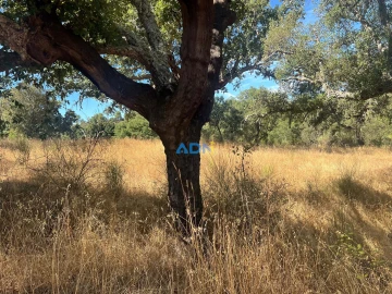 Terreno para Venda em Póvoa de Rio de Moinhos e Cafede