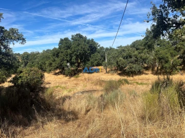 Terreno para Venda em Póvoa de Rio de Moinhos e Cafede