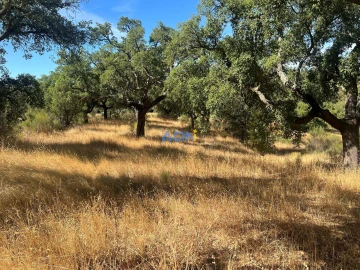 Terreno para Venda em Póvoa de Rio de Moinhos e Cafede