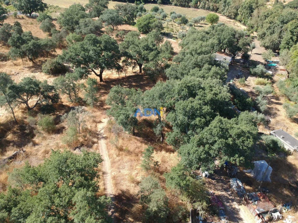 Terreno para Venda em Póvoa de Rio de Moinhos e Cafede Foto 27
