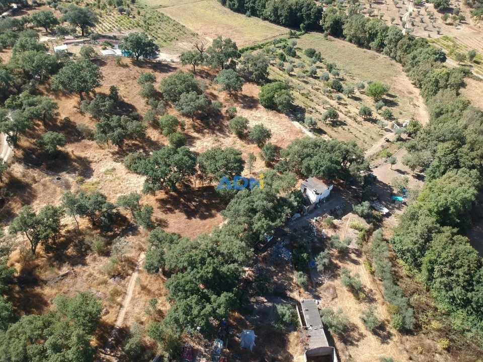 Terreno para Venda em Póvoa de Rio de Moinhos e Cafede Foto 32