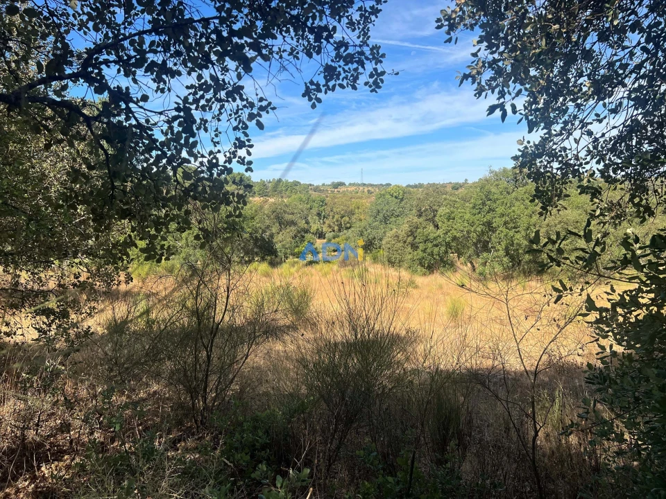 Terreno para Venda em Póvoa de Rio de Moinhos e Cafede Foto 15