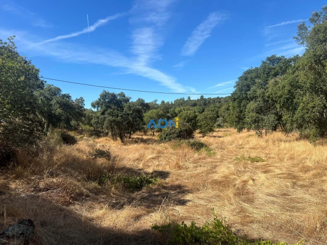 Terreno para Venda em Póvoa de Rio de Moinhos e Cafede Foto 5