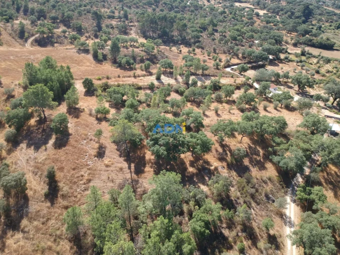 Terreno para Venda em Póvoa de Rio de Moinhos e Cafede Foto 35