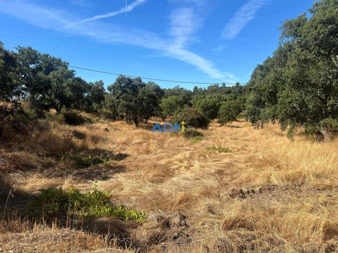 Terreno para Venda em Póvoa de Rio de Moinhos e Cafede Foto 4
