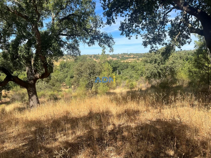 Terreno para Venda em Póvoa de Rio de Moinhos e Cafede Foto 24