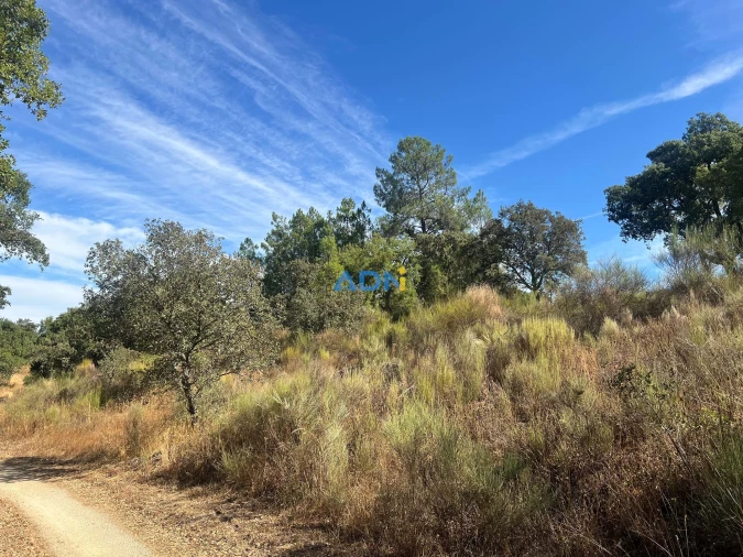 Terreno para Venda em Póvoa de Rio de Moinhos e Cafede Foto 12