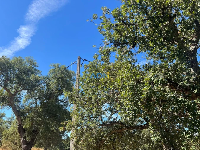 Terreno para Venda em Póvoa de Rio de Moinhos e Cafede Foto 6