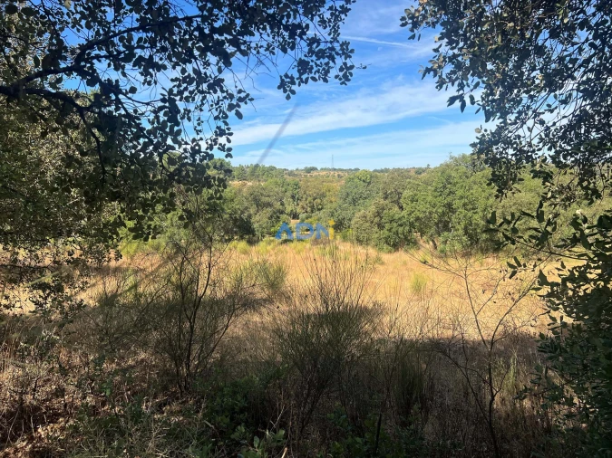 Terreno para Venda em Póvoa de Rio de Moinhos e Cafede Foto 15