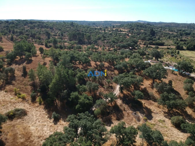 Terreno para Venda em Póvoa de Rio de Moinhos e Cafede Foto 29
