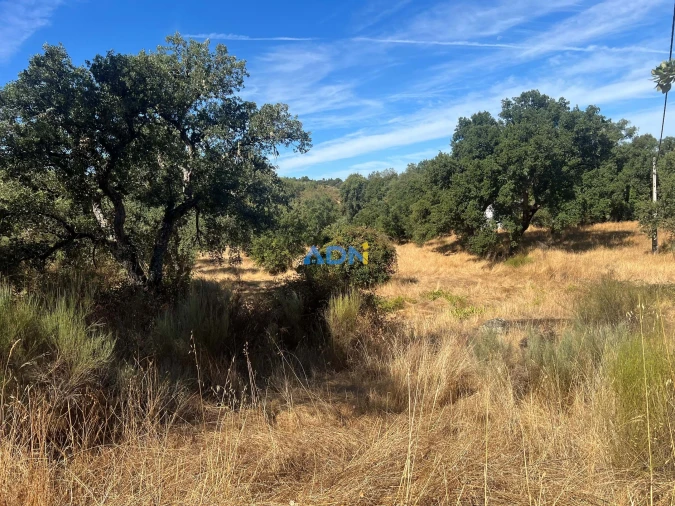 Terreno para Venda em Póvoa de Rio de Moinhos e Cafede Foto 7