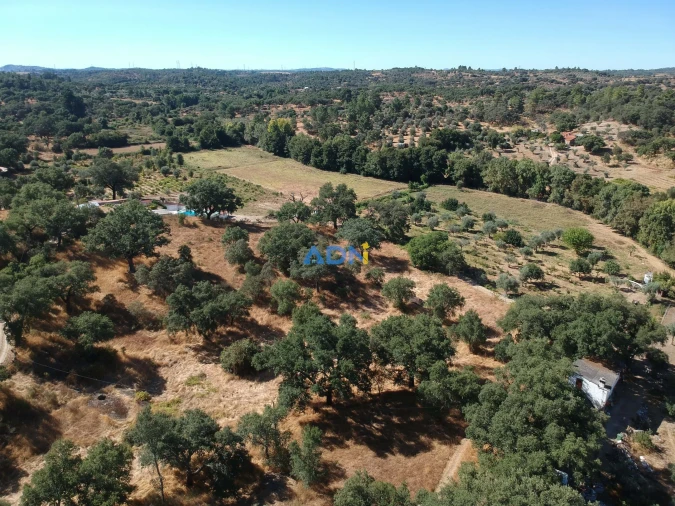 Terreno para Venda em Póvoa de Rio de Moinhos e Cafede Foto 28