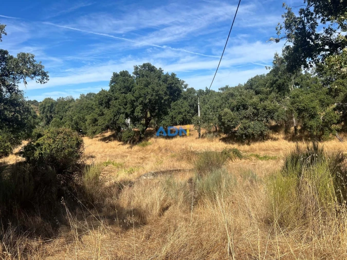 Terreno para Venda em Póvoa de Rio de Moinhos e Cafede Foto 8