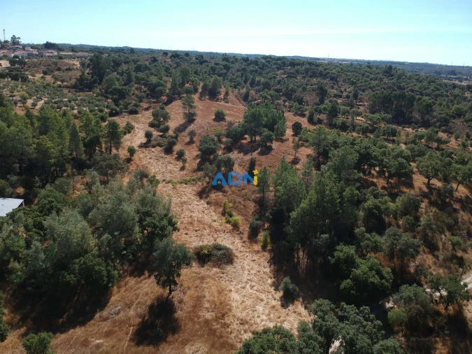 Terreno para Venda em Póvoa de Rio de Moinhos e Cafede Foto 31