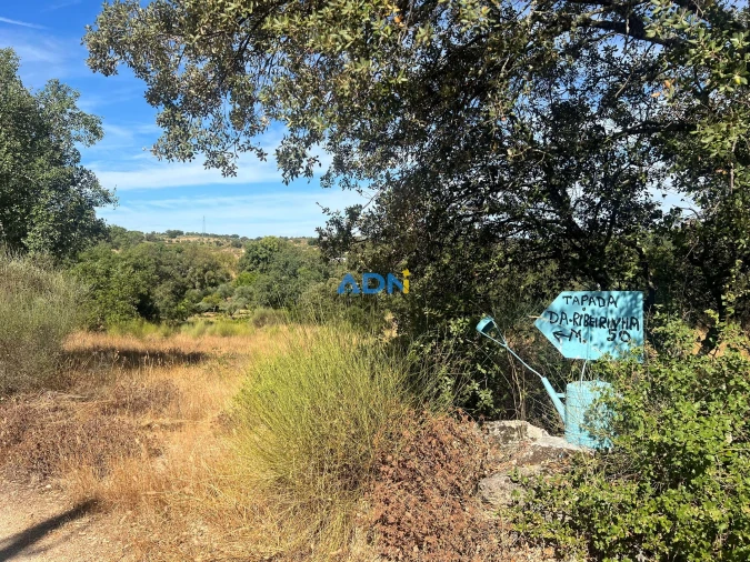 Terreno para Venda em Póvoa de Rio de Moinhos e Cafede Foto 18