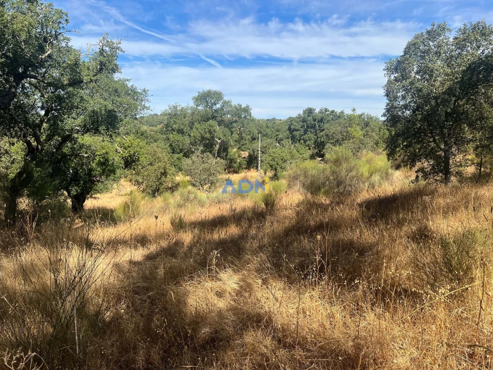 Terreno para Venda em Póvoa de Rio de Moinhos e Cafede Foto 22