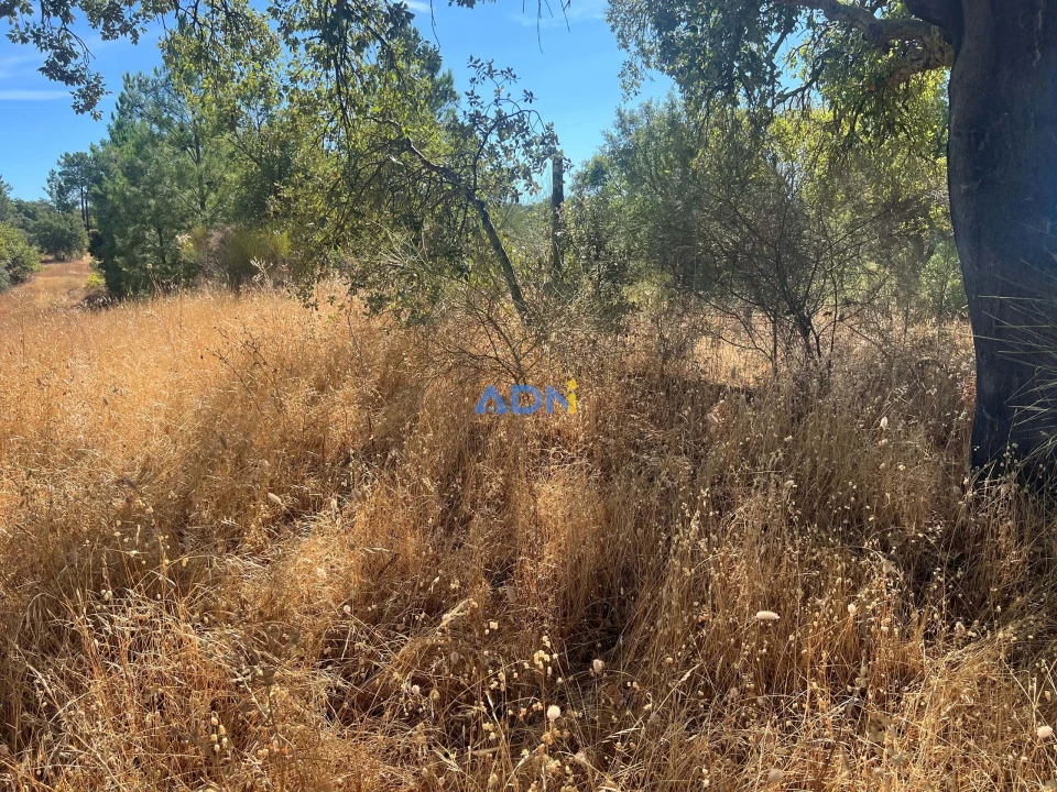Terreno para Venda em Póvoa de Rio de Moinhos e Cafede Foto 25