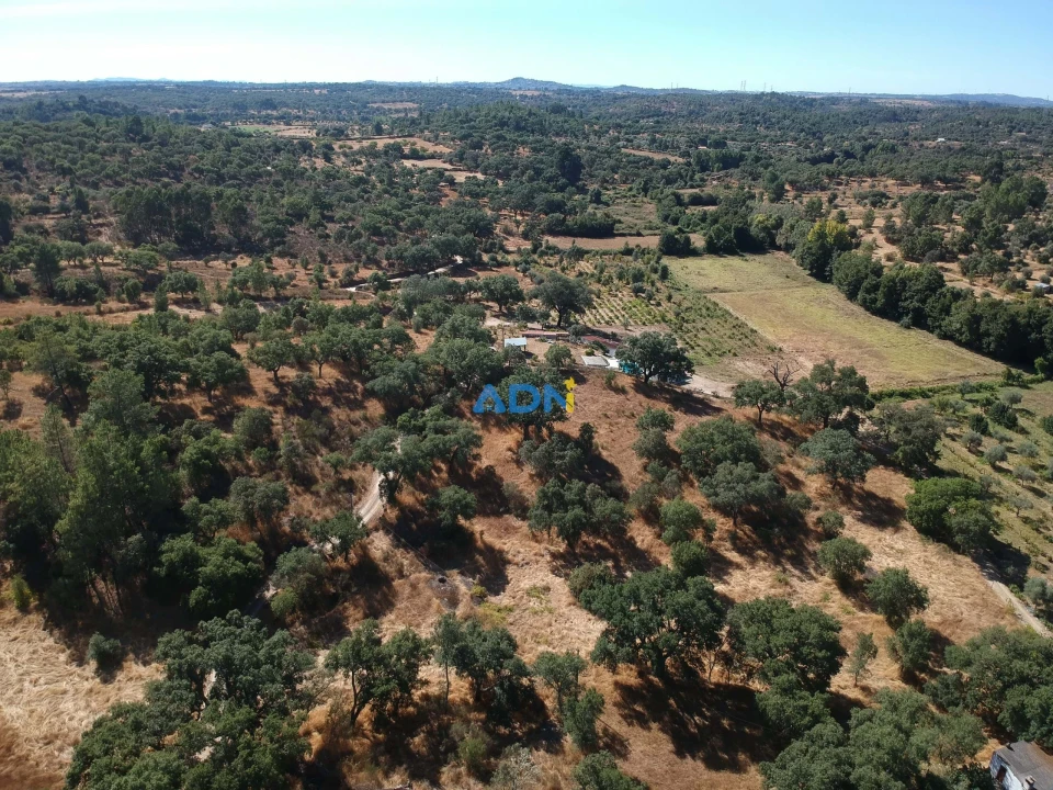 Terreno para Venda em Póvoa de Rio de Moinhos e Cafede Foto 33