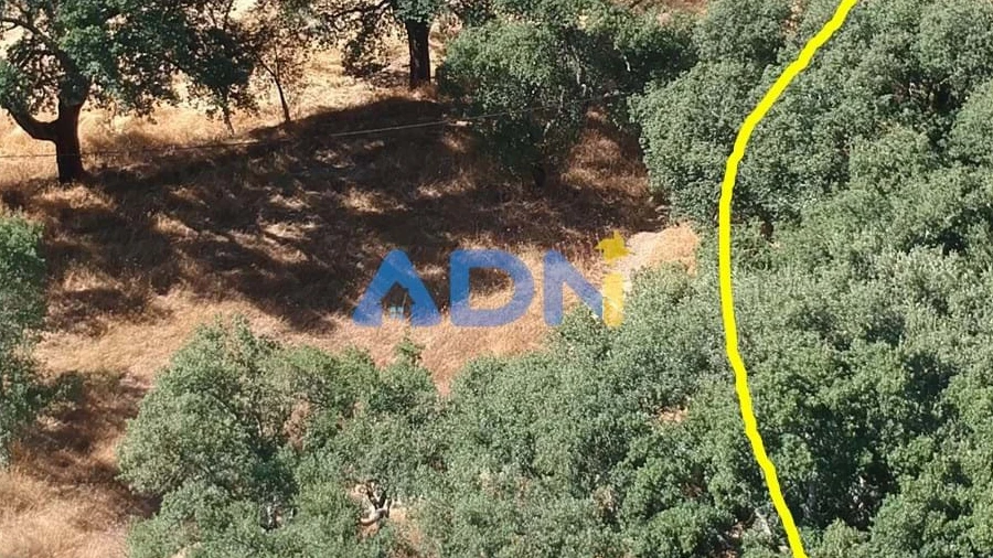 Terreno para Venda em Póvoa de Rio de Moinhos e Cafede