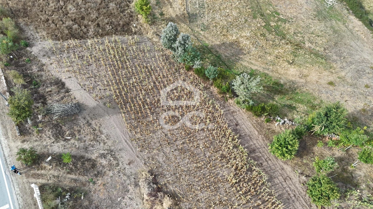 Terreno para Venda em São Miguel de Acha Foto 6