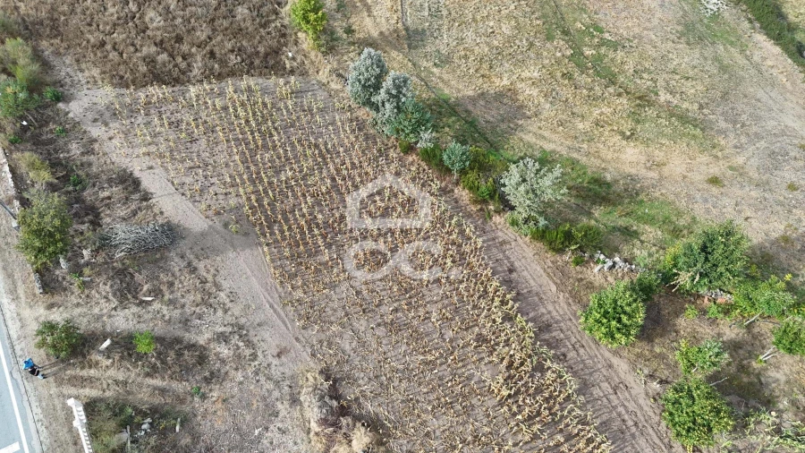 Terreno para Venda em São Miguel de Acha Foto 8