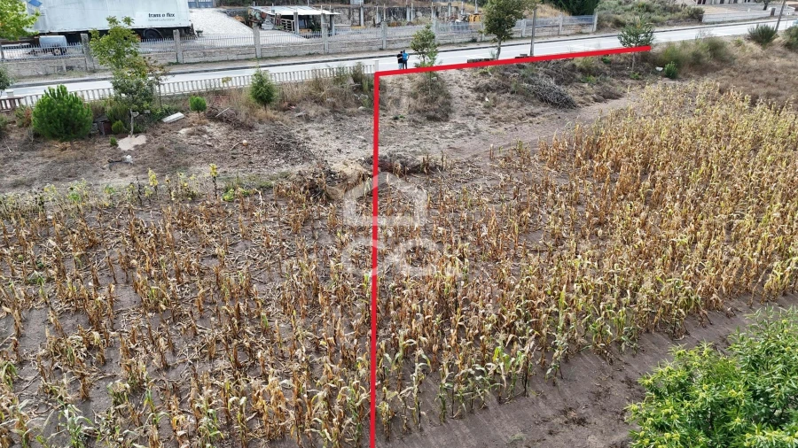 Terreno para Venda em São Miguel de Acha Foto 5