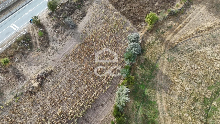 Terreno para Venda em São Miguel de Acha Foto 6