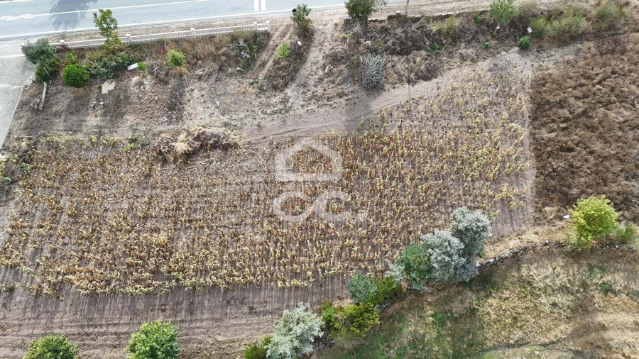 Terreno para Venda em São Miguel de Acha Foto 9