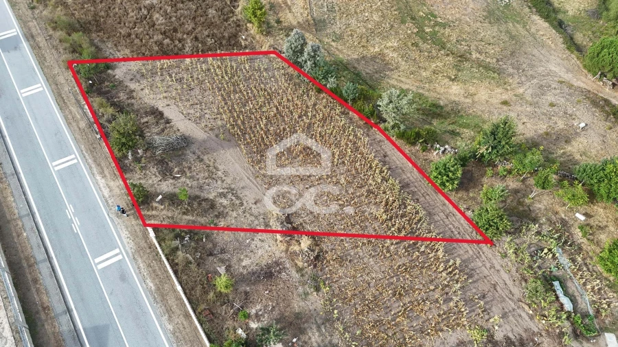 Terreno para Venda em São Miguel de Acha Foto 3