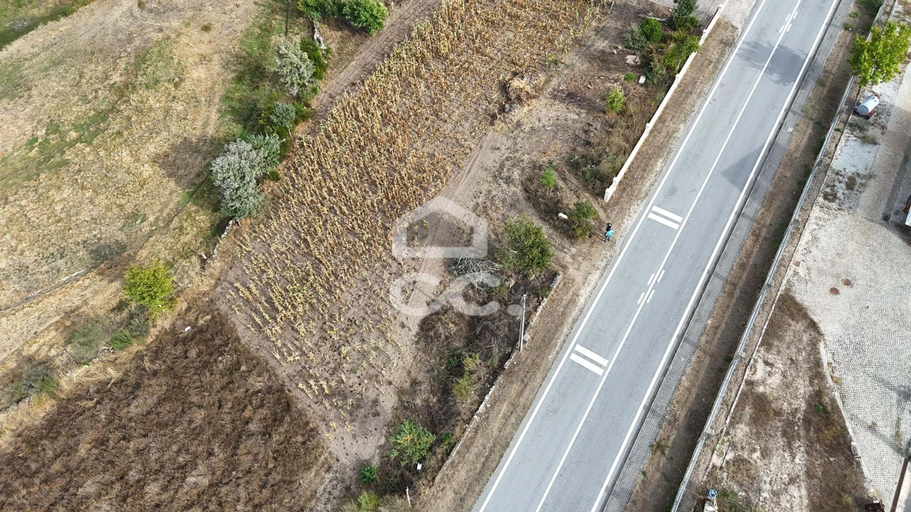 Terreno para Venda em São Miguel de Acha Foto 8