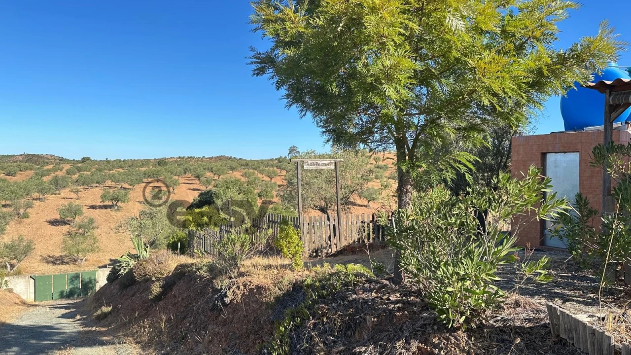 Terreno Agricola ou Rústico para Venda em Amieira e Alqueva Foto 3