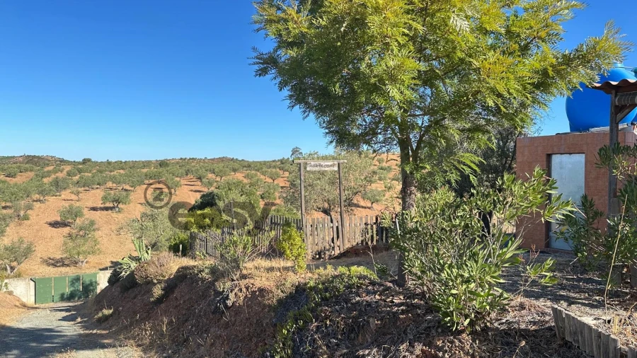Terreno Agricola ou Rústico para Venda em Amieira e Alqueva Foto 3