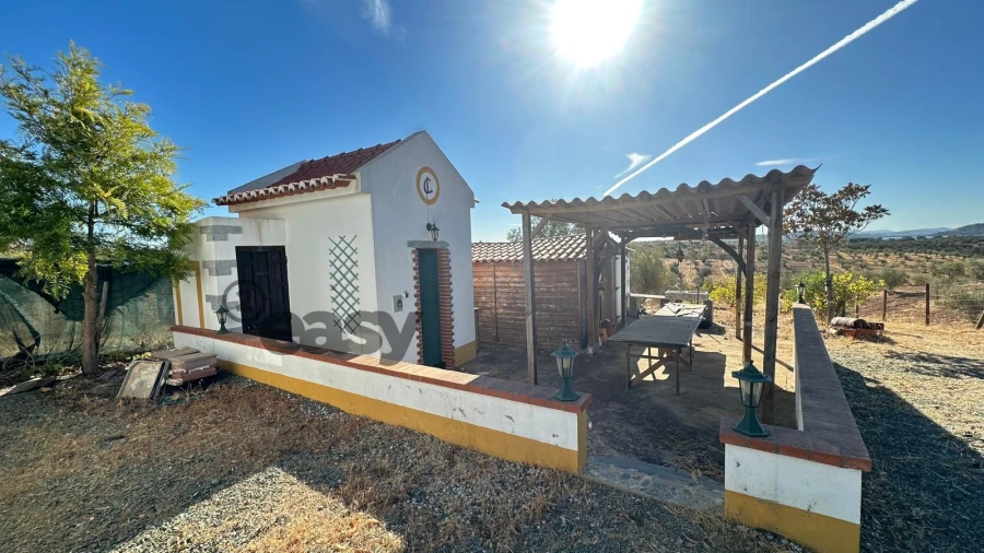 Terreno Agricola ou Rústico para Venda em Amieira e Alqueva Foto 5