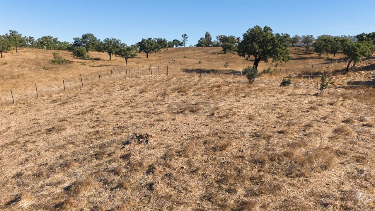 Terreno Misto para Venda em Abela Foto 28