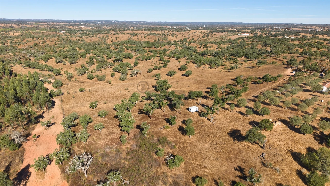 Terreno Misto para Venda em Abela Foto 10