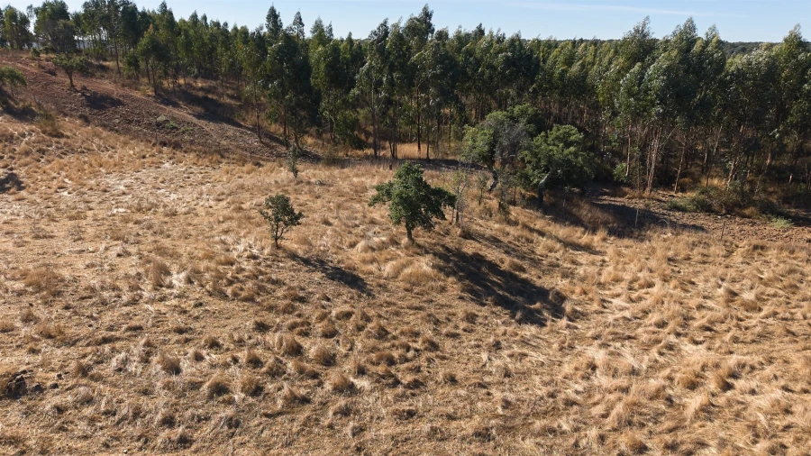 Terreno Misto para Venda em Abela Foto 30