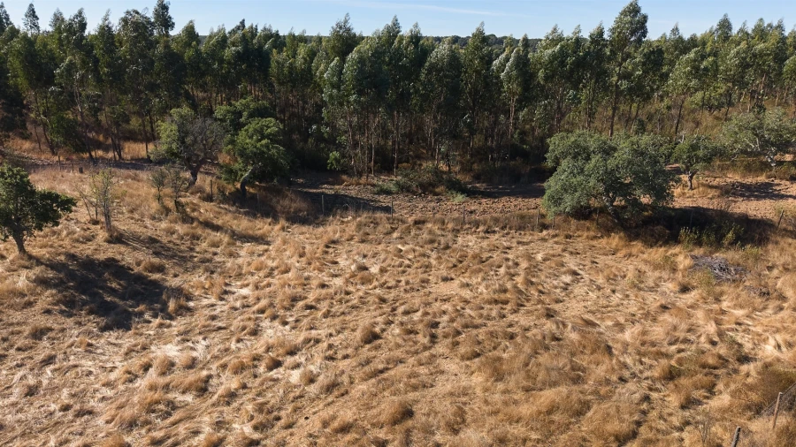 Terreno Misto para Venda em Abela Foto 31
