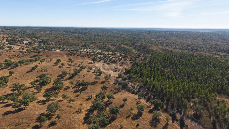 Terreno Misto para Venda em Abela Foto 33