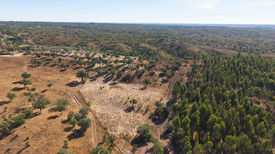 Terreno Misto para Venda em Abela Foto 7