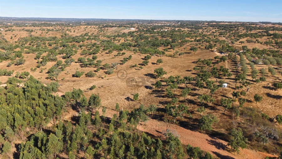 Terreno Misto para Venda em Abela Foto 9